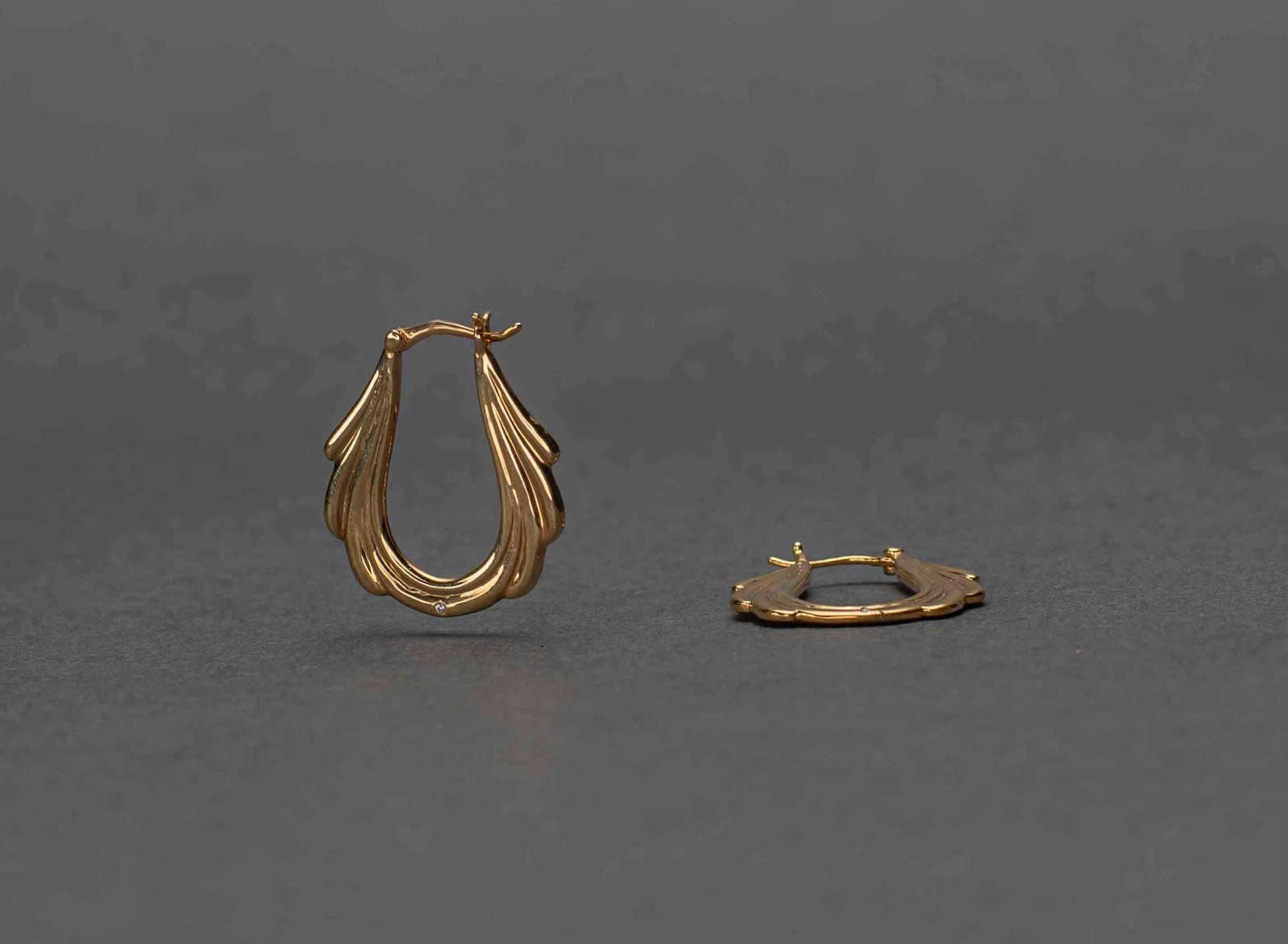 Sculpted Hoop Earrings