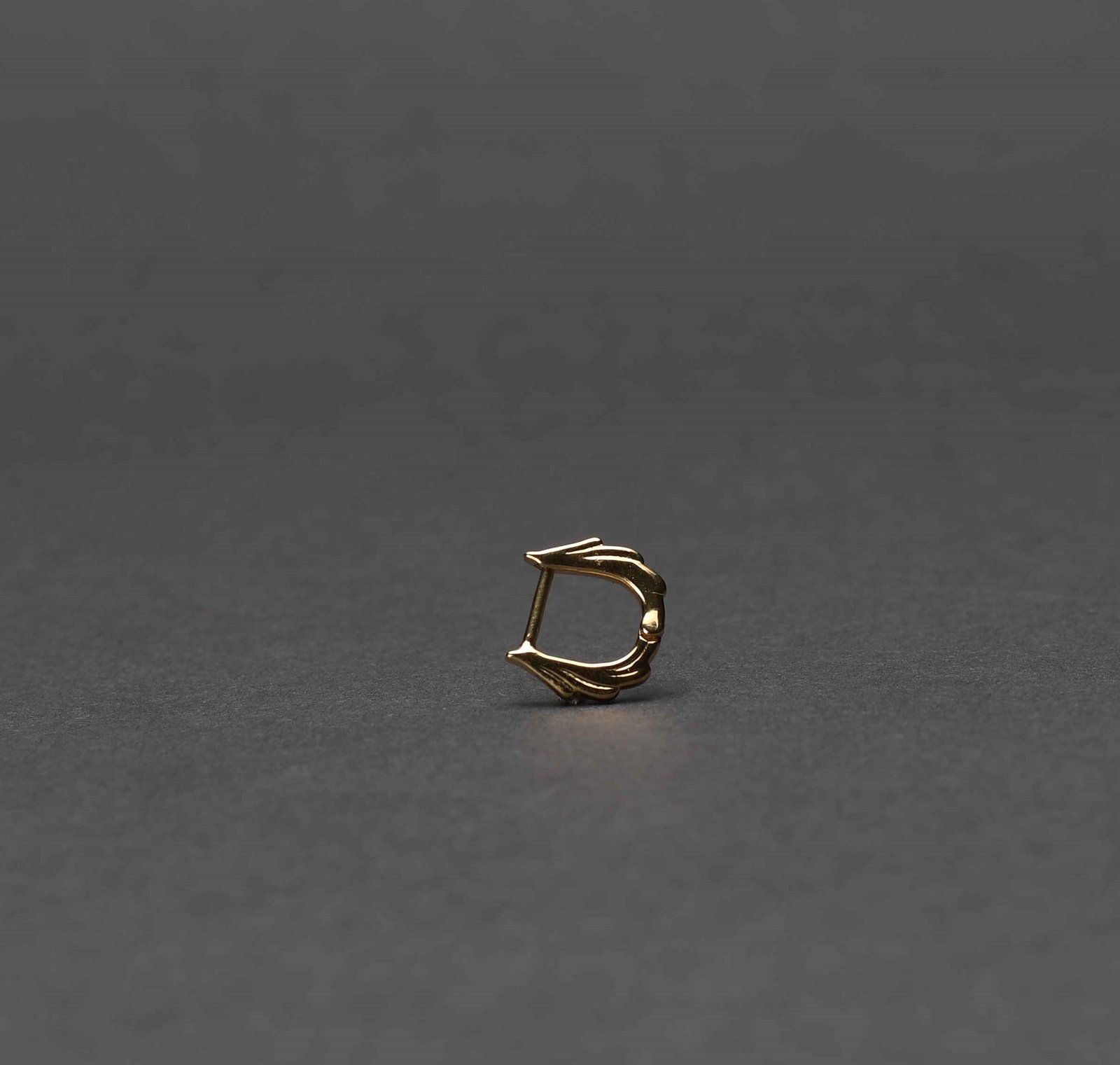 Sculpted Hoop Earrings